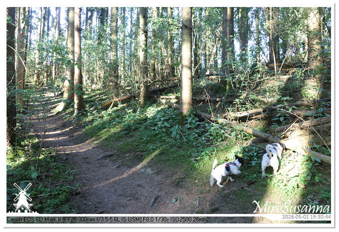 Camper Tour 1-D2 IMG_2830