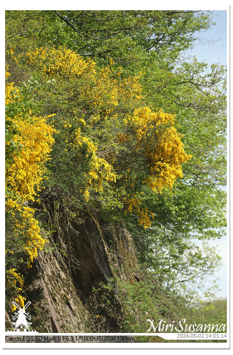 Camper Tour 1-D3 IMG_3053