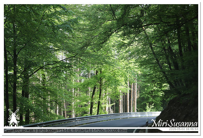 Camper Tour 1-D3 IMG_3266