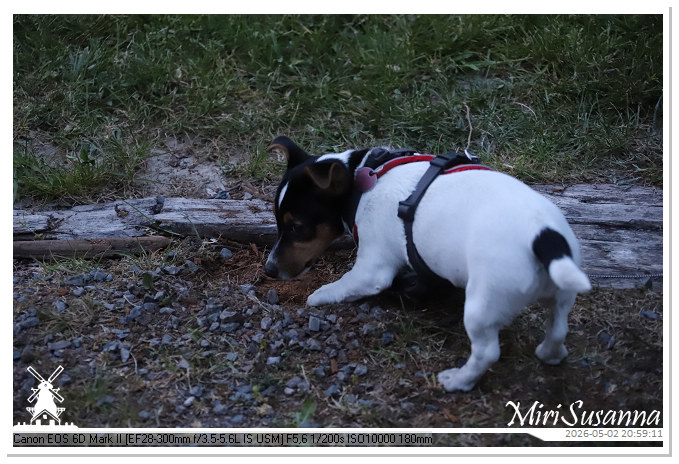 Camper Tour 1-D3 IMG_3308