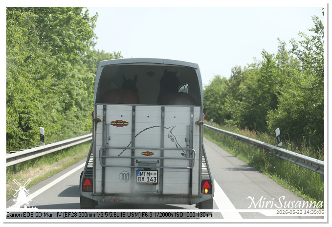 Camper Tour 2-D2 MS5D0520