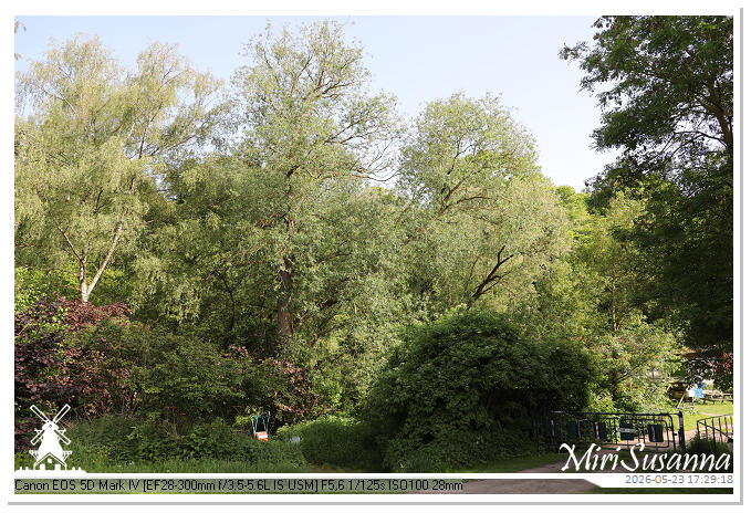 NaturCamp an der Weser MS5D0703