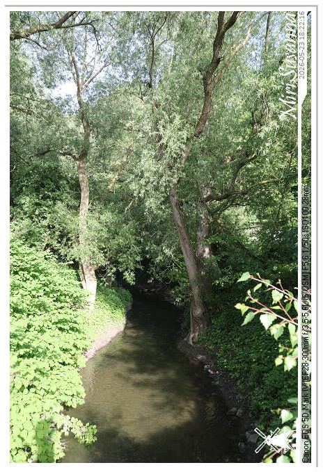 NaturCamp an der Weser MS5D0727