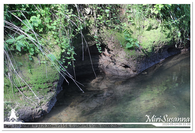 NaturCamp an der Weser MS5D0747