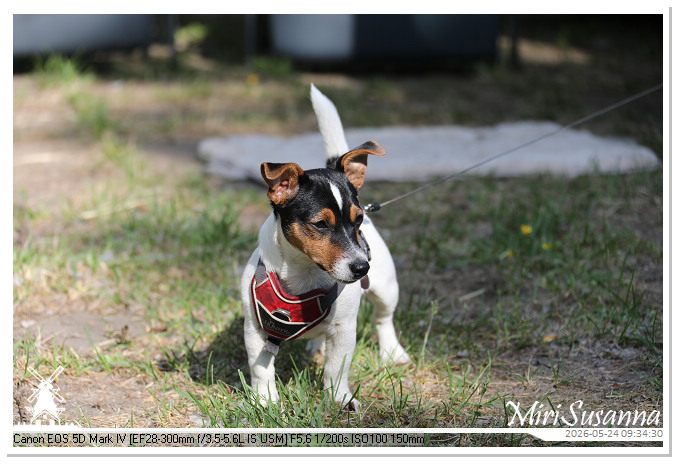 NaturCamp an der Weser MS5D0751