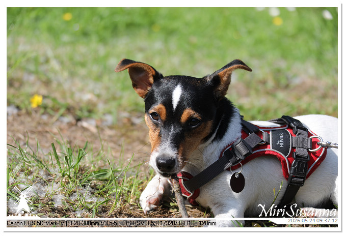 NaturCamp an der Weser MS5D0753