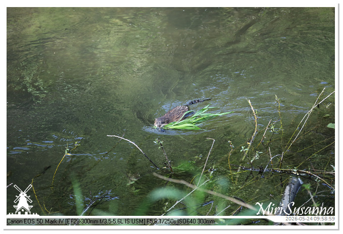 NaturCamp an der Weser MS5D0759