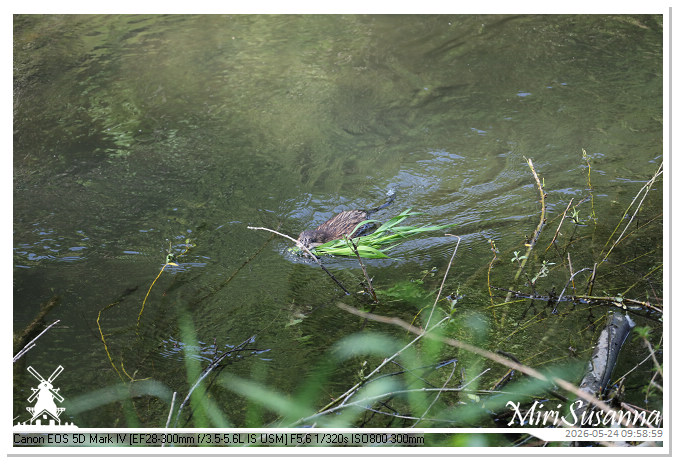 NaturCamp an der Weser MS5D0760