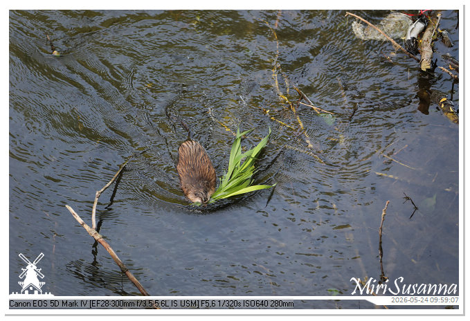 NaturCamp an der Weser MS5D0761