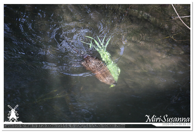 NaturCamp an der Weser MS5D0762