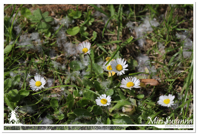 NaturCamp an der Weser MS5D0774