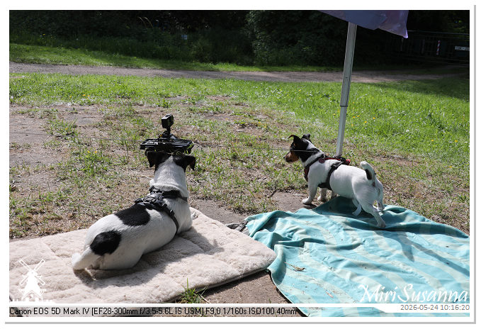 NaturCamp an der Weser MS5D0778