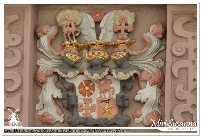 Lemgo Altstadt MS5D0888