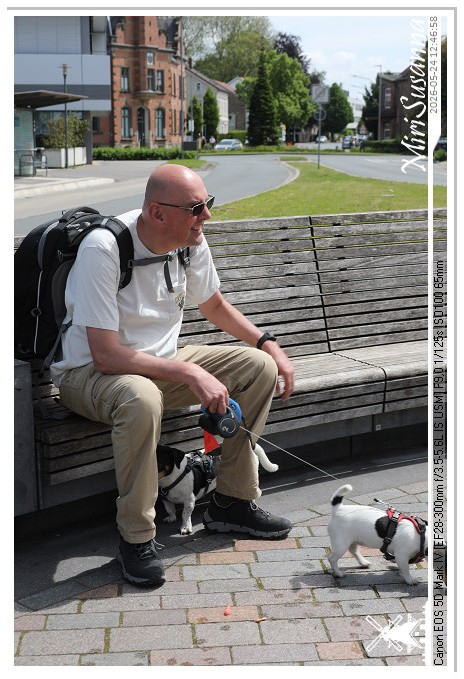 Lemgo Altstadt MS5D0919