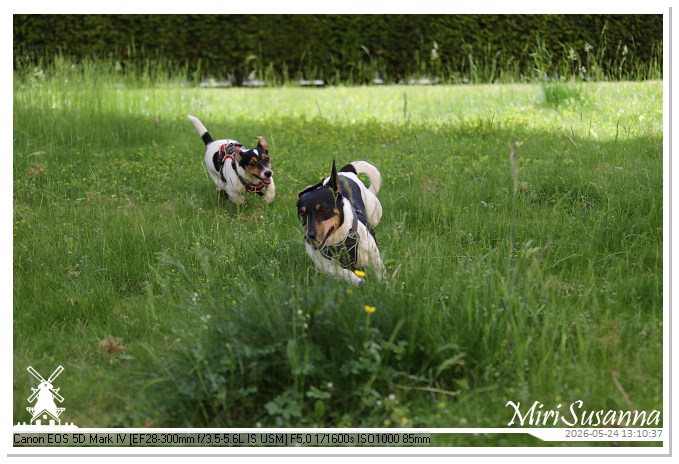 NaturCamp an der Weser MS5D0973