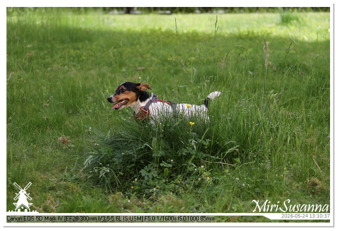NaturCamp an der Weser MS5D0974