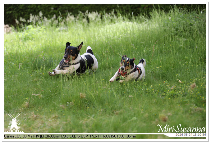 NaturCamp an der Weser MS5D0977