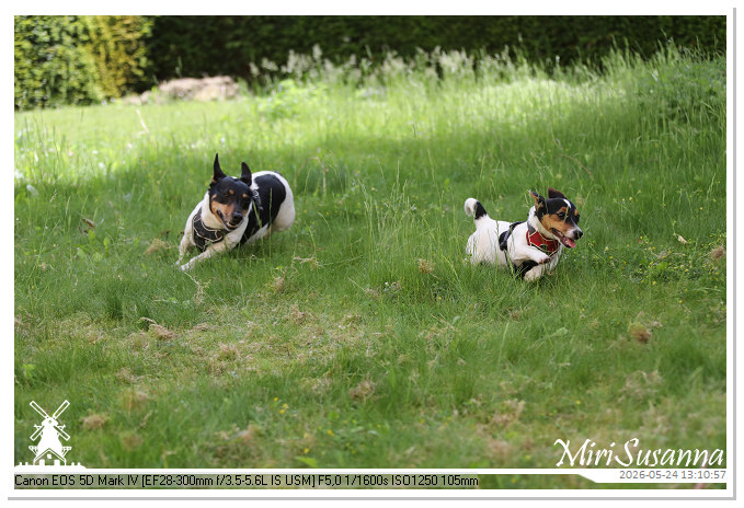 NaturCamp an der Weser MS5D0979
