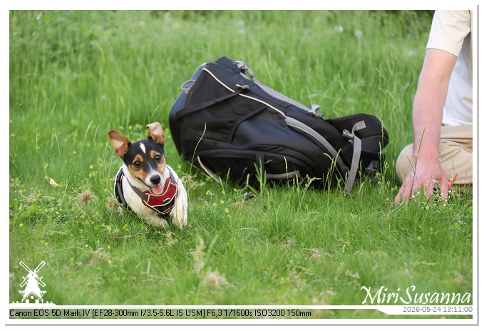 NaturCamp an der Weser MS5D0983