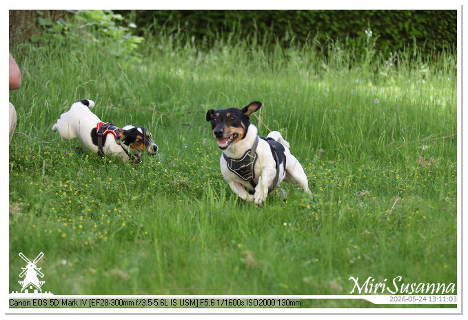 NaturCamp an der Weser MS5D0986