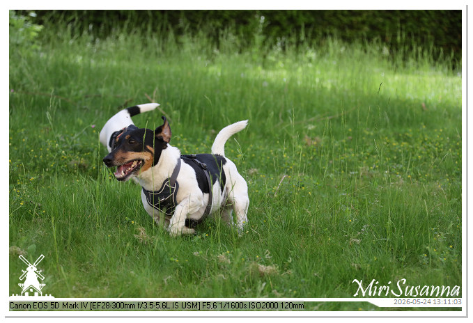 NaturCamp an der Weser MS5D0988