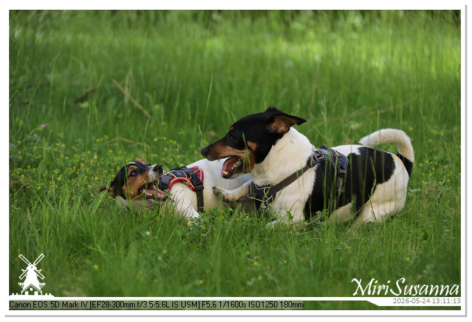 NaturCamp an der Weser MS5D0995