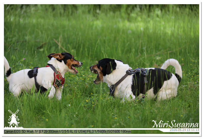 NaturCamp an der Weser MS5D0996