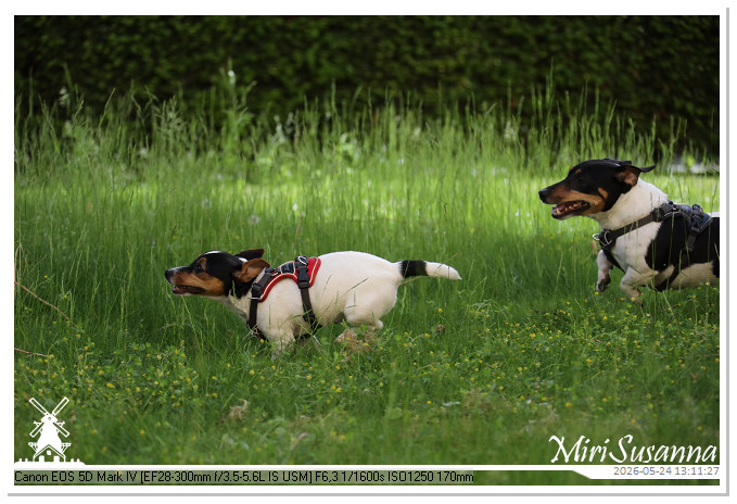 NaturCamp an der Weser MS5D1002