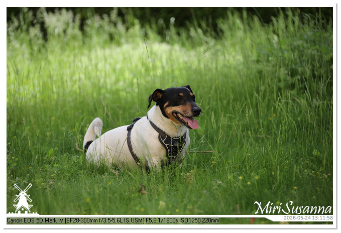 NaturCamp an der Weser MS5D1014