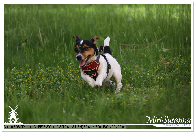NaturCamp an der Weser MS5D1018