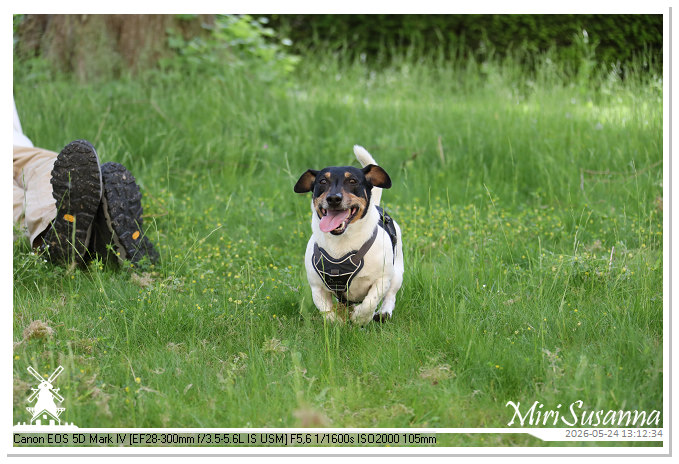 NaturCamp an der Weser MS5D1033