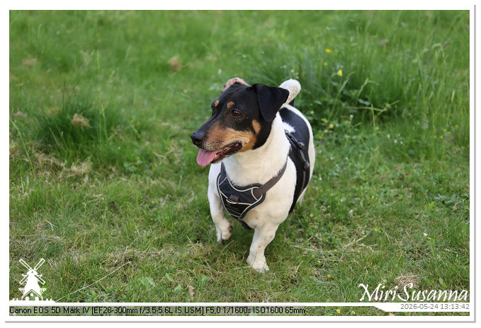 NaturCamp an der Weser MS5D1048