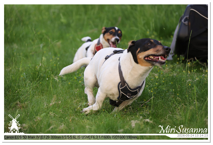 NaturCamp an der Weser MS5D1065