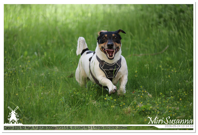 NaturCamp an der Weser MS5D1070