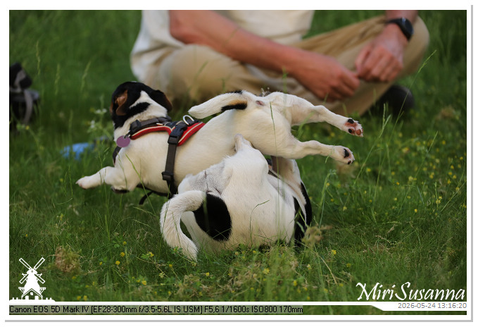 NaturCamp an der Weser MS5D1079
