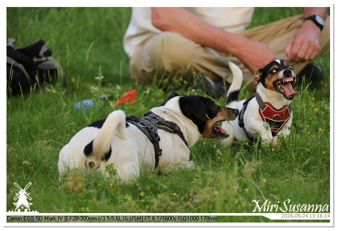 NaturCamp an der Weser MS5D1080