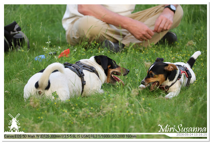 NaturCamp an der Weser MS5D1081
