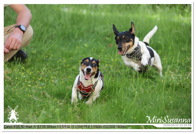 NaturCamp an der Weser MS5D1099