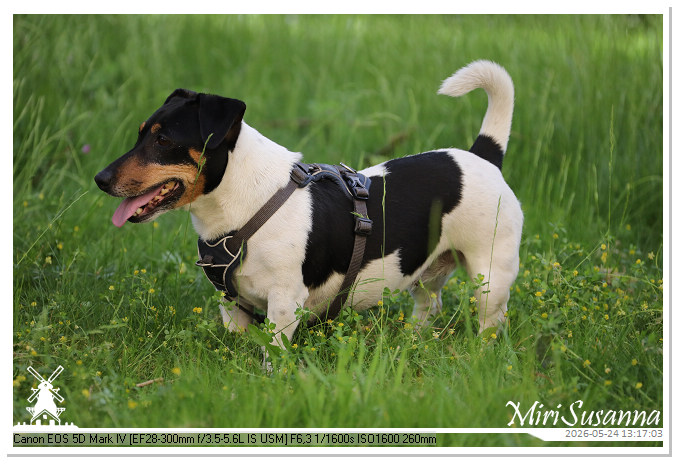 NaturCamp an der Weser MS5D1100