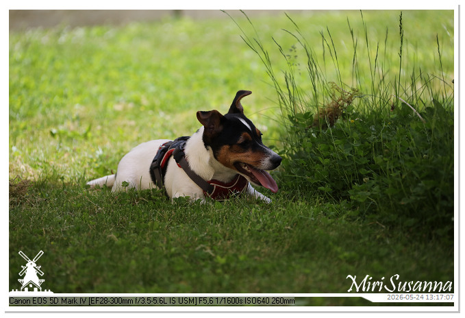 NaturCamp an der Weser MS5D1101