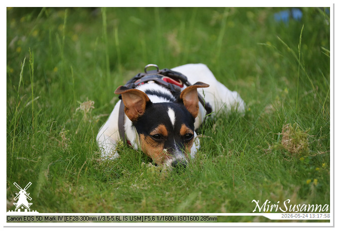 NaturCamp an der Weser MS5D1121