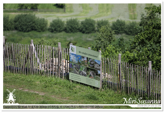 CamperTour 2-D3 MS5D1230@MiriSusanna CC-BY-NC-ND CamperTour 2-D3 MS5D1230