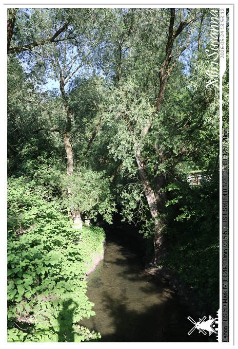 NaturCamp an der Weser MS5D1248