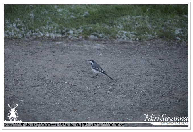 NaturCamp an der Weser MS5D1253