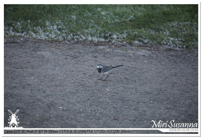 NaturCamp an der Weser MS5D1254