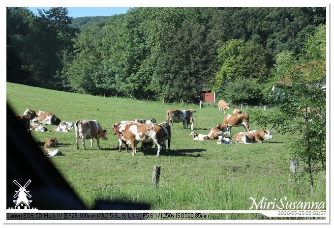 CamperTour 2-D4 MS5D1261@MiriSusanna CC-BY-NC-ND CamperTour 2-D4 MS5D1261