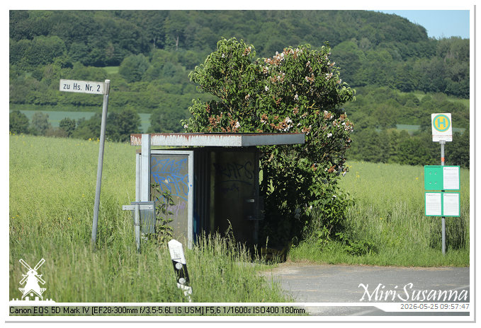 CamperTour 2-D4 MS5D1328@MiriSusanna CC-BY-NC-ND CamperTour 2-D4 MS5D1328