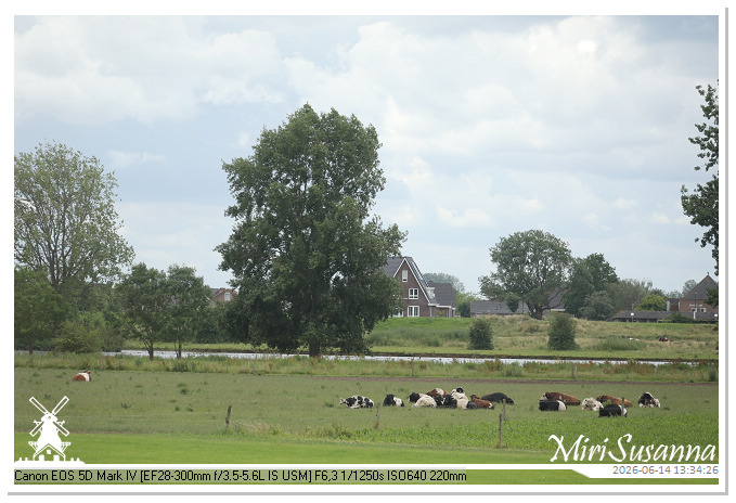 Land van Maas en Waal MS5D1739@MiriSusanna CC-BY-NC-ND Land van Maas en Waal MS5D1739