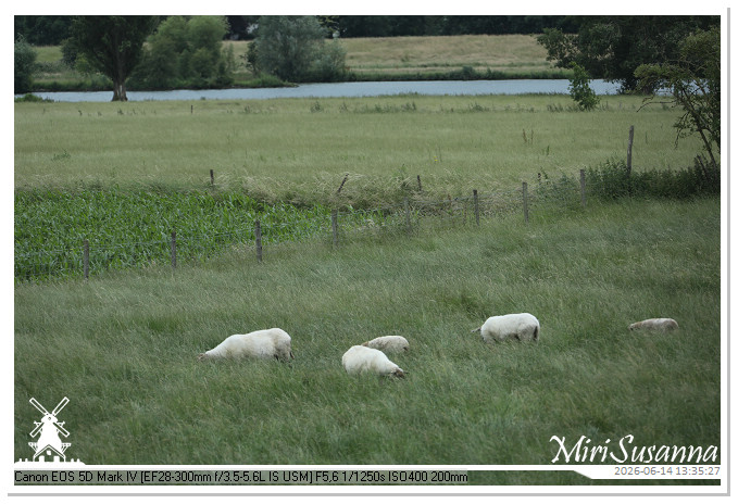 Land van Maas en Waal MS5D1743@MiriSusanna CC-BY-NC-ND Land van Maas en Waal MS5D1743