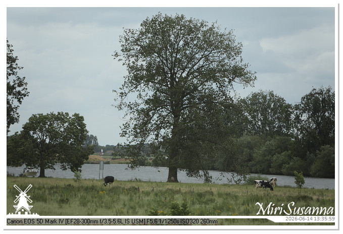 Land van Maas en Waal MS5D1747@MiriSusanna CC-BY-NC-ND Land van Maas en Waal MS5D1747